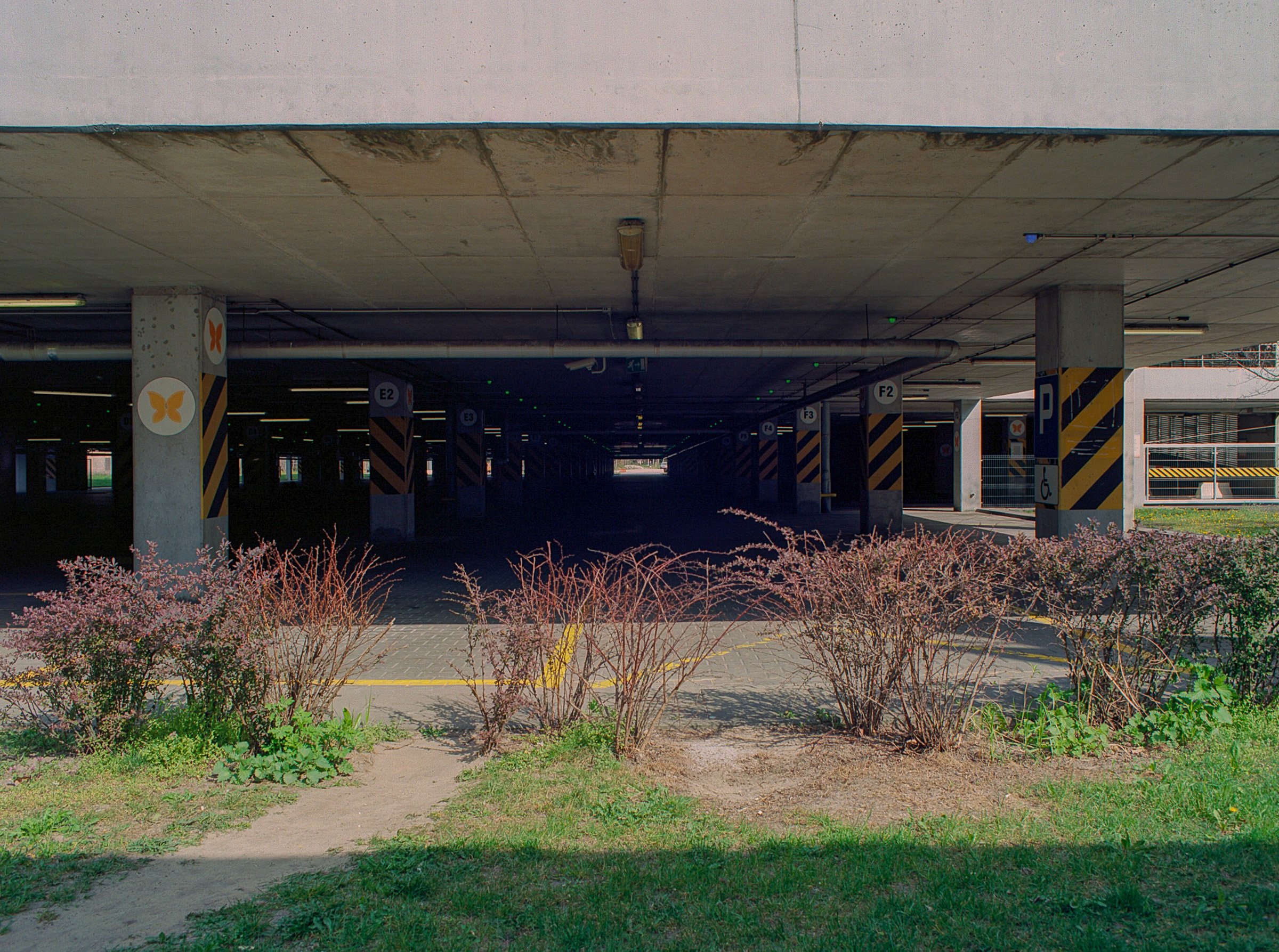 Pandemic image 1